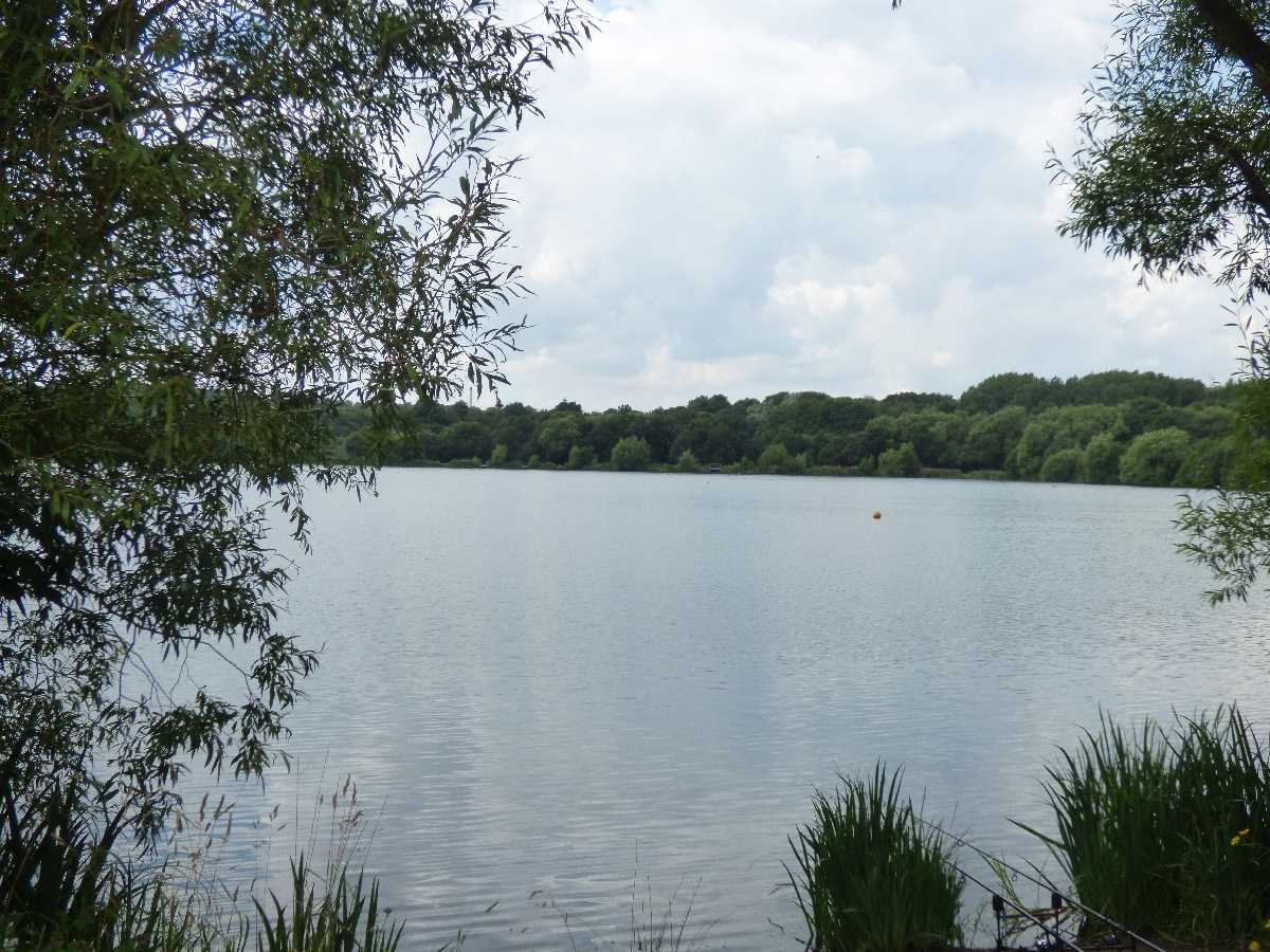 Swan Pool Sandwell Valley Country Park